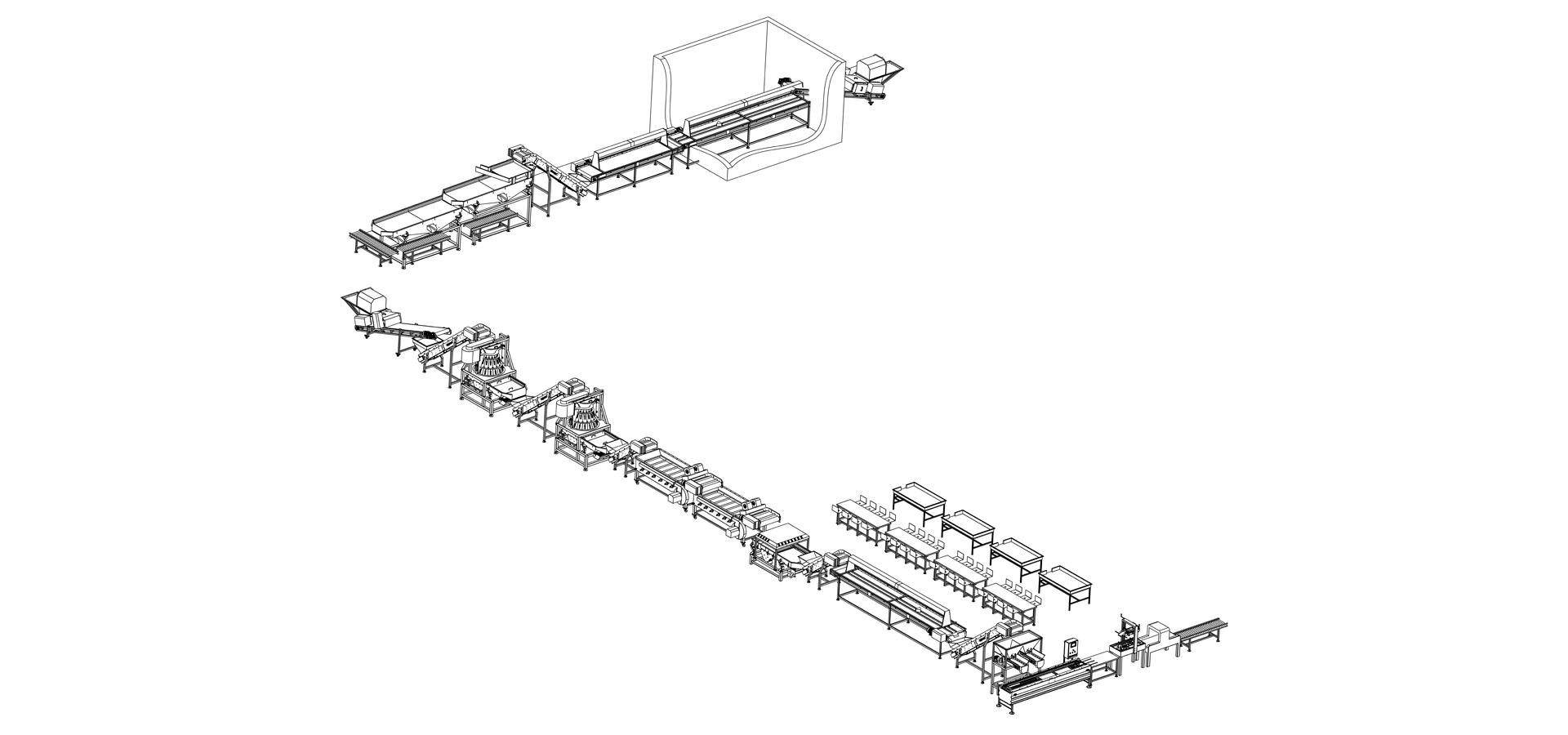 Dried Fig and Apricot Washing, Selection and Boxing Line